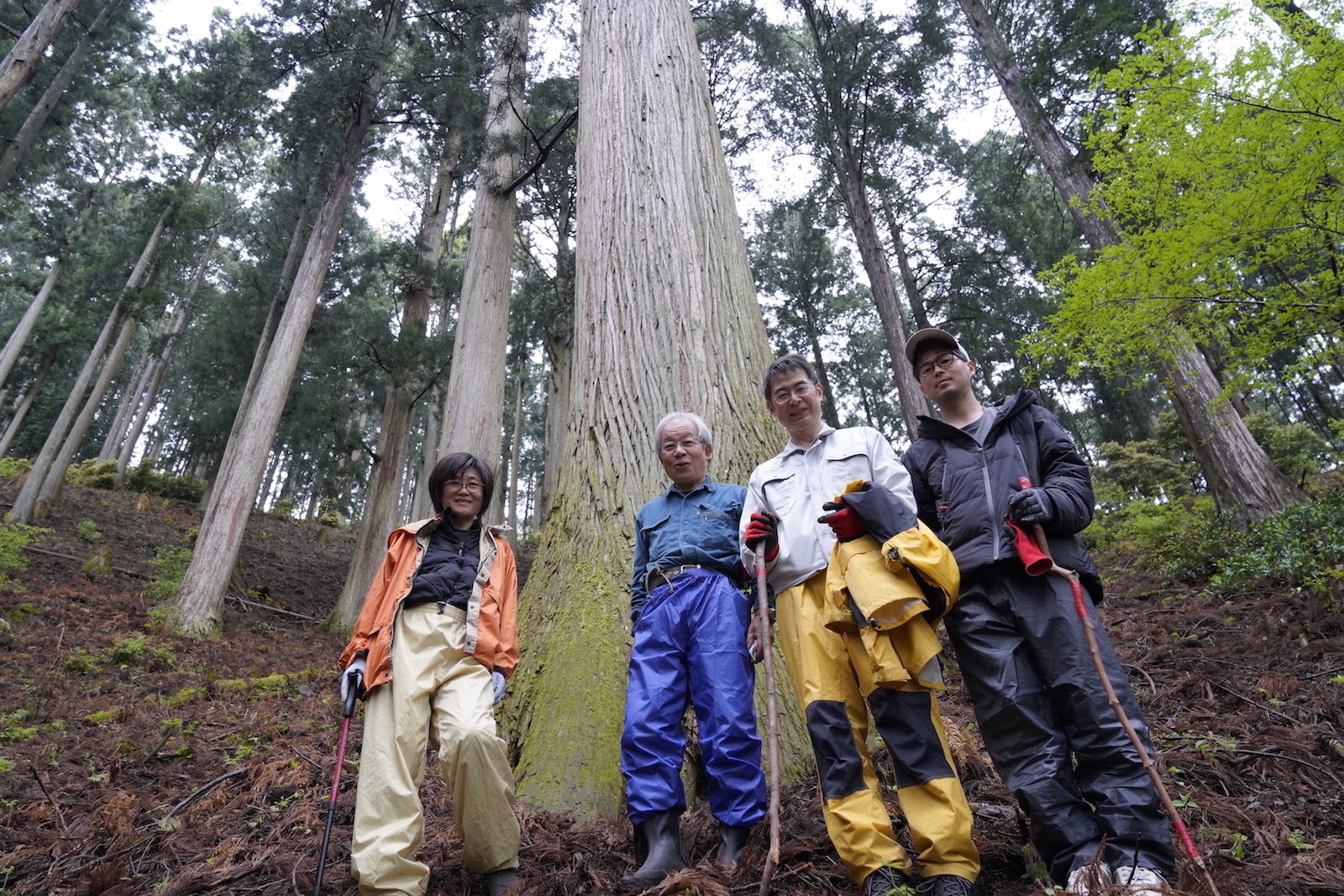 樹齢400年の吉野杉の前で、福本さん（左から2番目）、佐藤さん（右から2番目）と東風スタッフ。